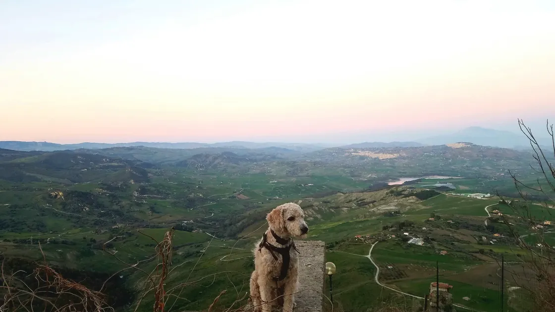 Picture courtesy of Ben Langlois.