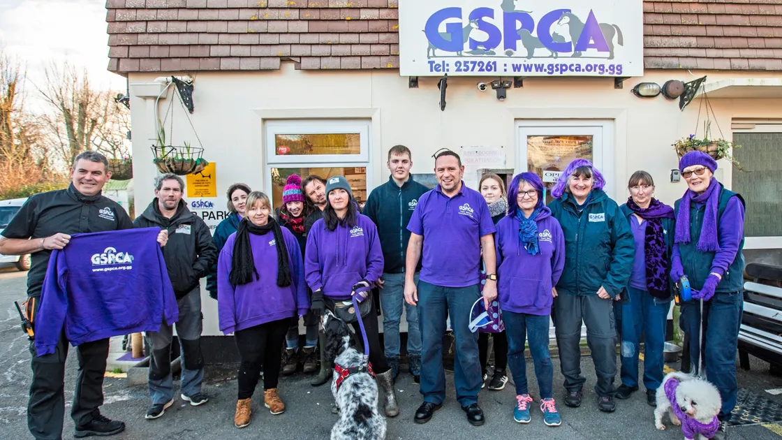 GSPCA staff will be celebrating ‘Purple Week’ and the animal shelter’s 150th anniversary next month. (Picture by Sophie Rabey, 32895266)