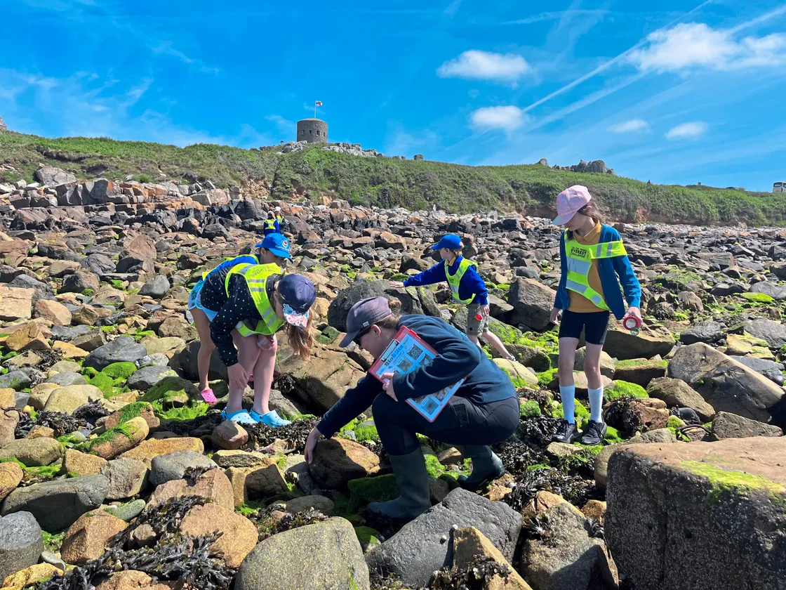 School children rock-pooling