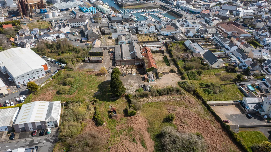 ‘If they all (or even most of them) come off, it will represent the biggest change in the physical characteristic of this part of Guernsey since the reclaiming of the Braye du Valle. So it is vital to get it right’