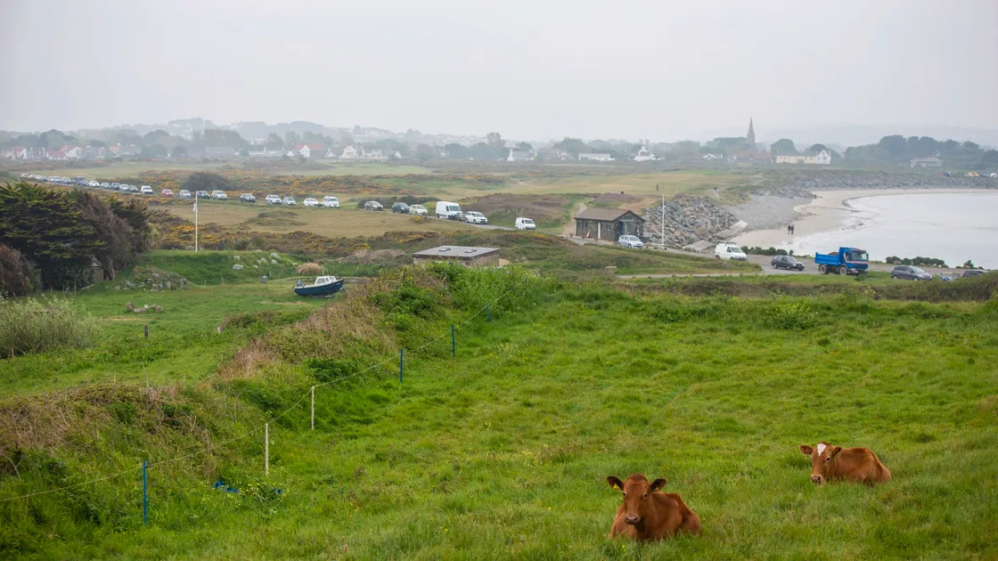 Picture by Sophie Rabey.  27-04-20.  Green Waste sites are back open today to the public today after Coronavirus Lockdown.  They are running at reduced opening hours and subject to health and safety restricions.  Chouet green waste site - backed up traffic from 8am this morning.. (28163274)