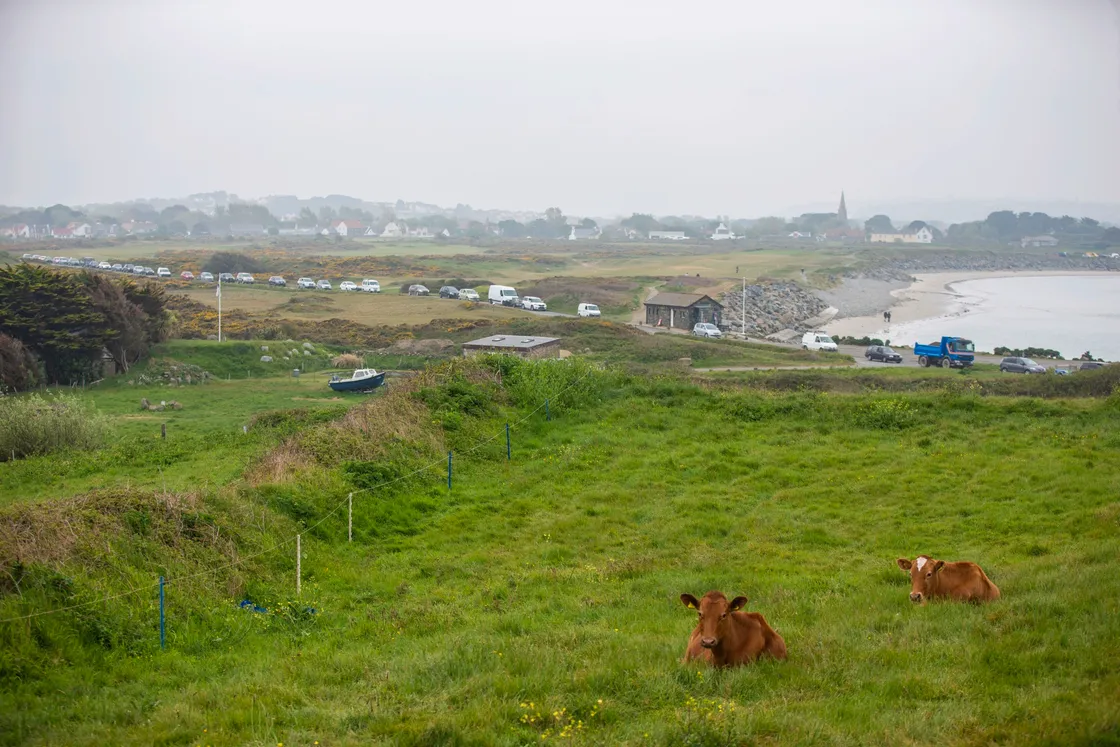 Picture by Sophie Rabey.  27-04-20.  Green Waste sites are back open today to the public today after Coronavirus Lockdown.  They are running at reduced opening hours and subject to health and safety restricions.  Chouet green waste site - backed up traffic from 8am this morning.. (28163274)