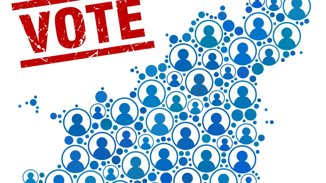 Picture supplied. Island wide voting illustration. (27527210)