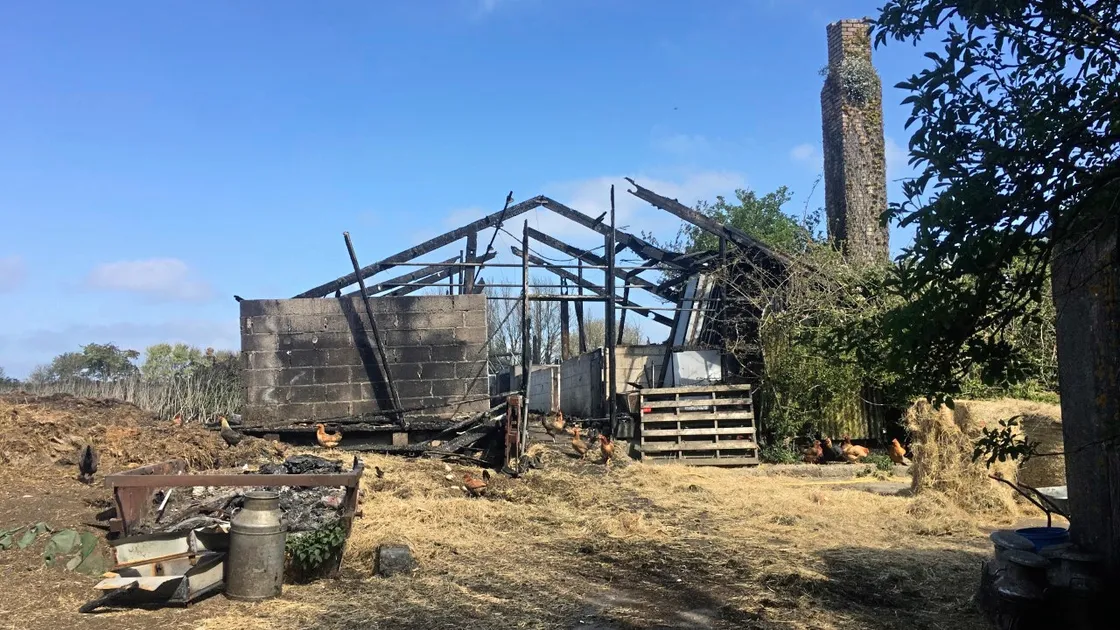The aftermath of Sunday’s barn fire in St Andrew’s where some livestock were killed. (29482204)