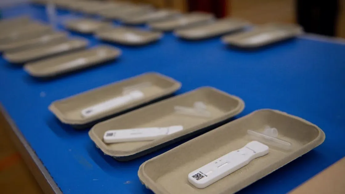 Lateral flow tests (29815350)