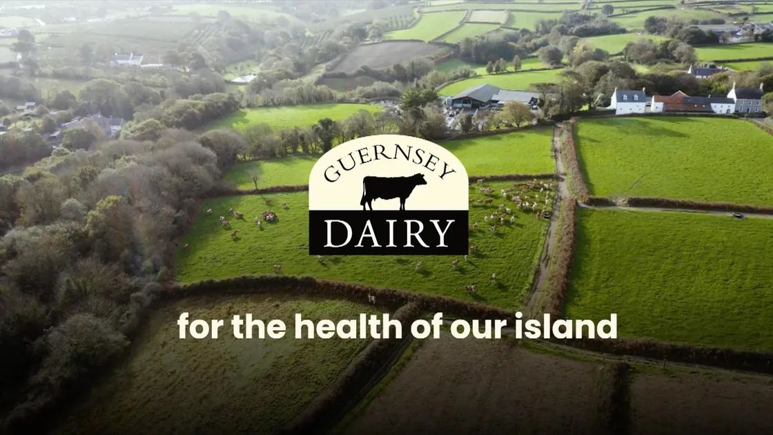 Screenshots from Guernsey Dairy's new campaign video. 