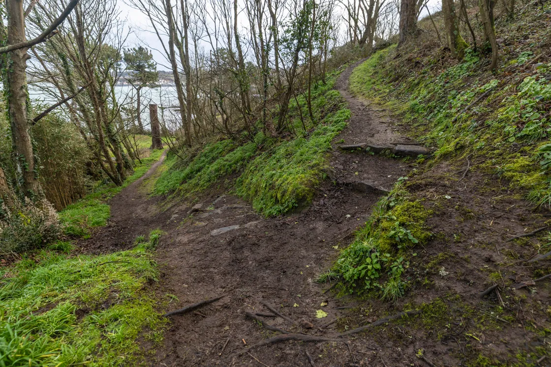 Paths and steps through the site are in need of urgent attention and the donation will allow key safety and conservation works to be brought forward sooner than originally planned