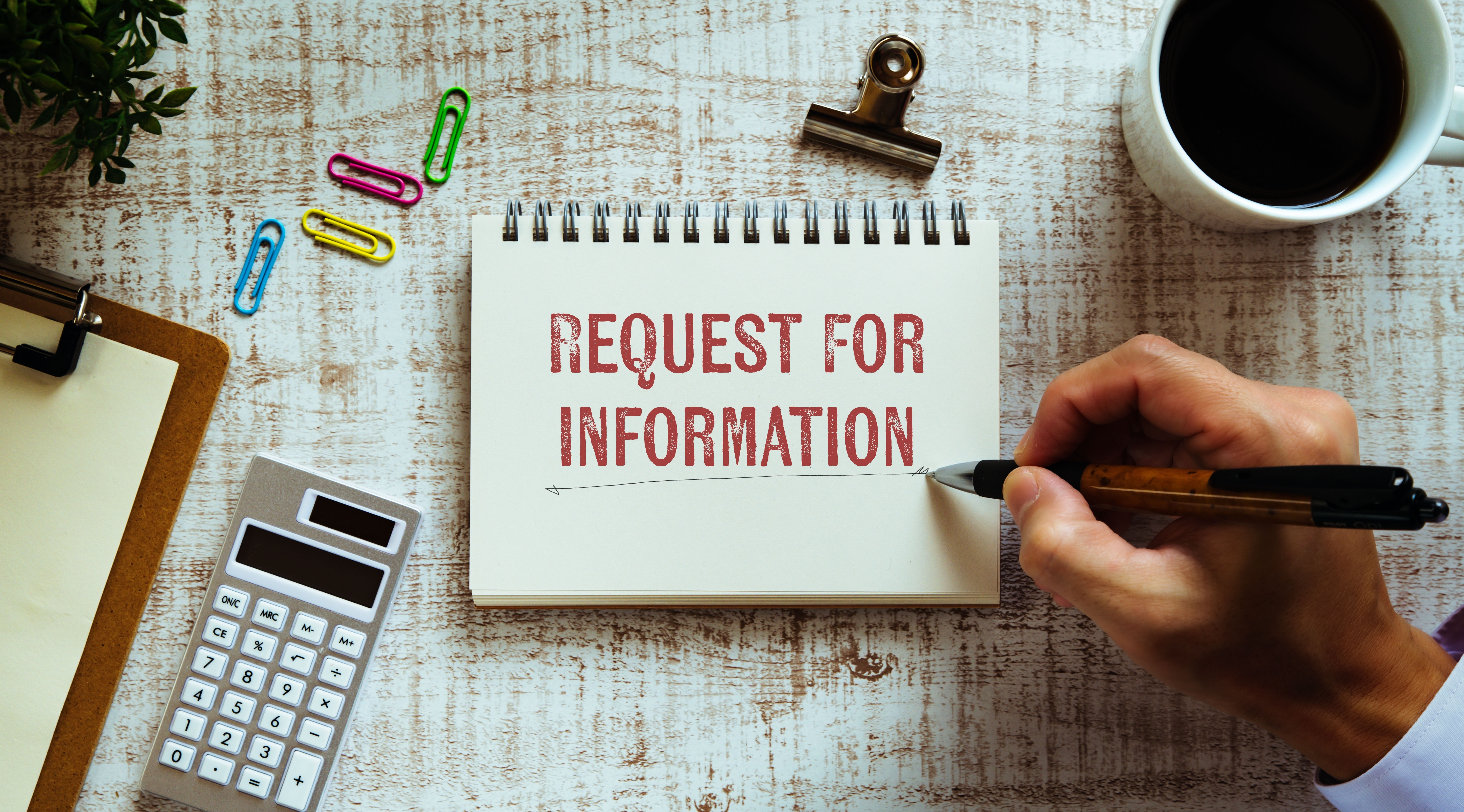 Rob Curgenven: More information needed