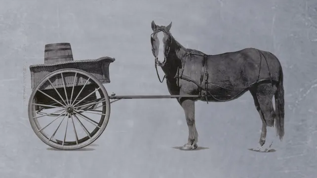 Bob Murray: Putting the cart before the horse