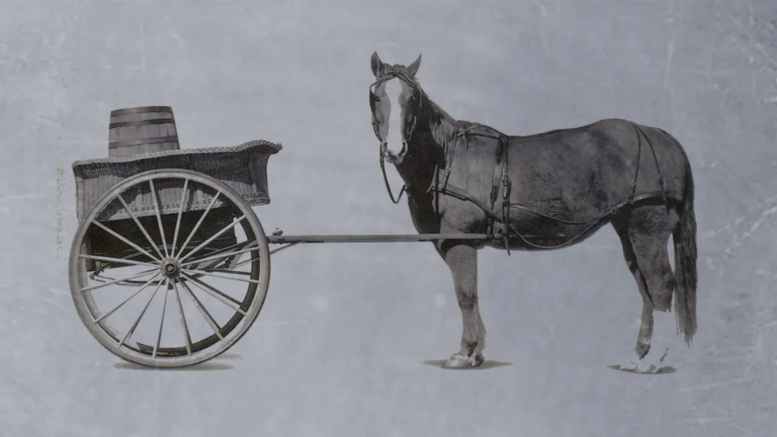 ‘A horse that is not sufficiently large hasn’t the strength to pull a cart that is overburdened with too much weight – most specifically £95m. too much weight’