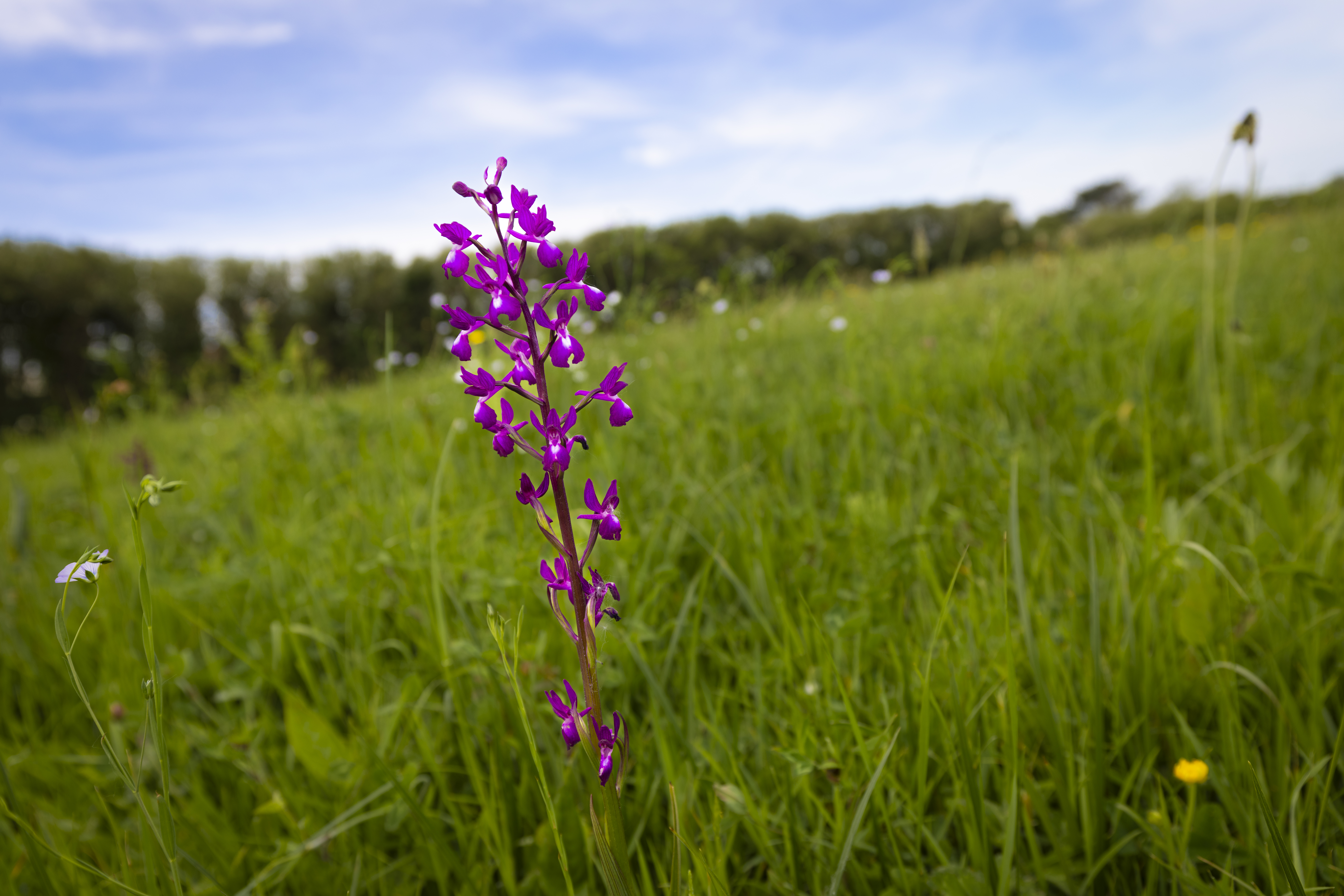 La Societe’s science and nature grant open for research projects