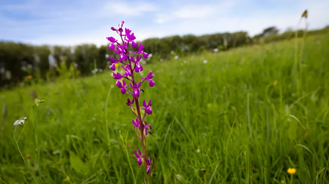 La Societe’s science and nature grant open for research projects