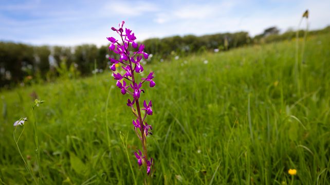 La Societe’s science and nature grant open for research projects