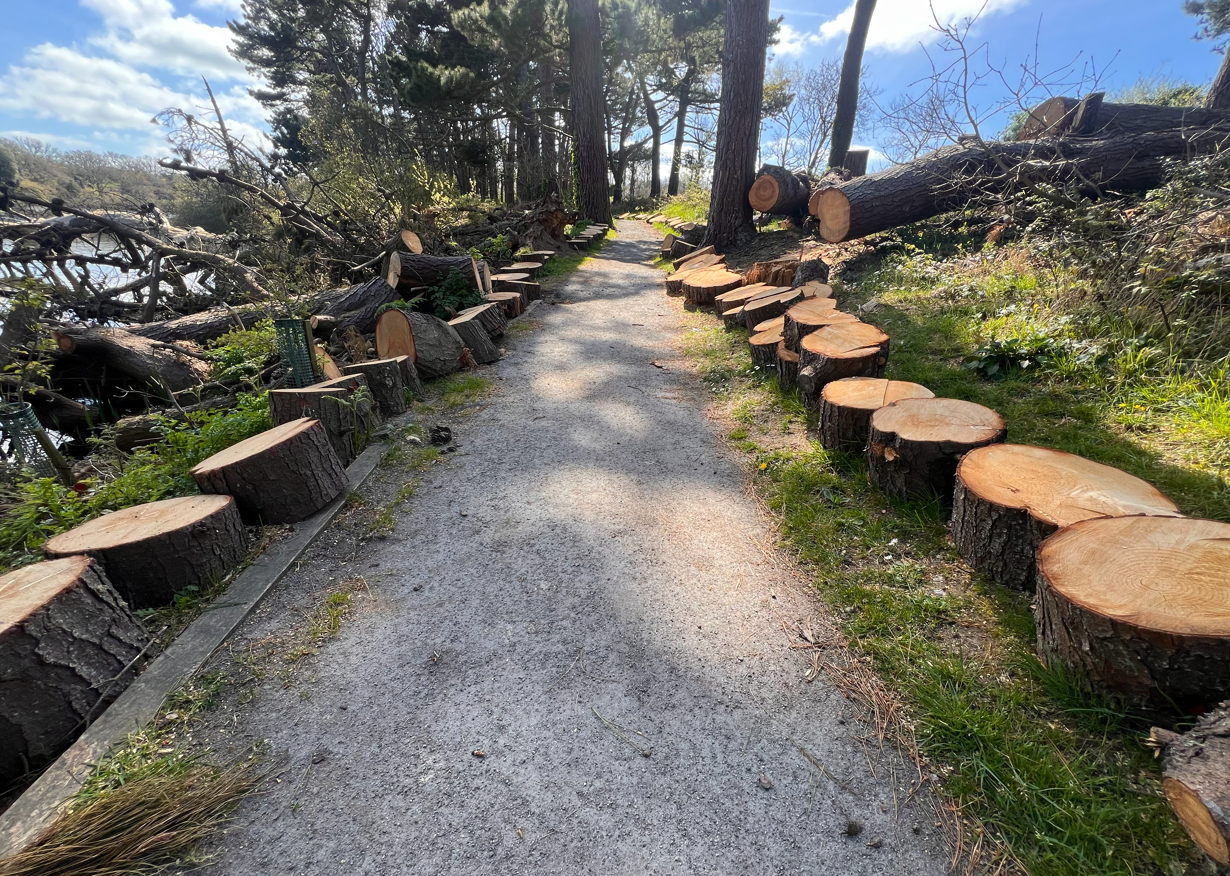 Millennium Walk opens a month early after storm