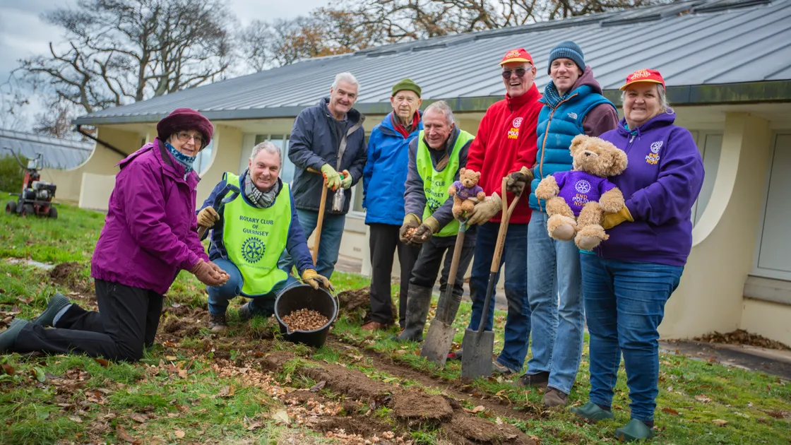Rotary clubs raise awareness of polio with 20,000 crocuses