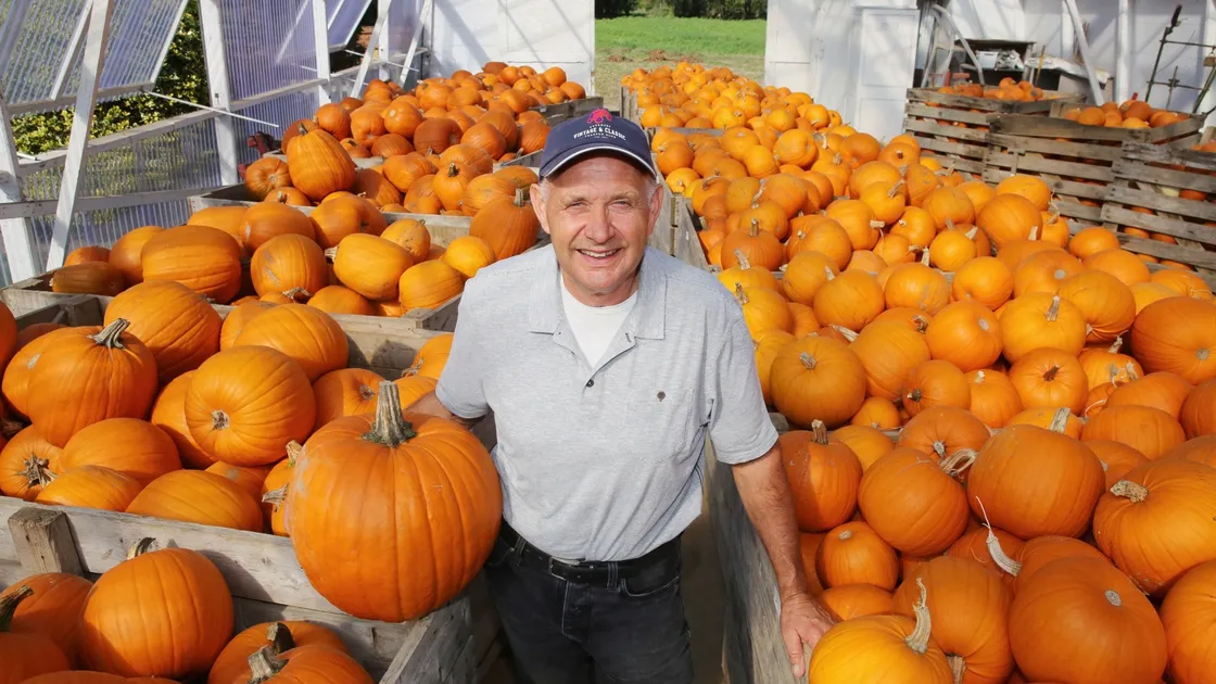 Graham Dorey with his pumpkins at Brooklands Farm, King’s Mills.                       (Picture by Adrian Miller, 22728642)