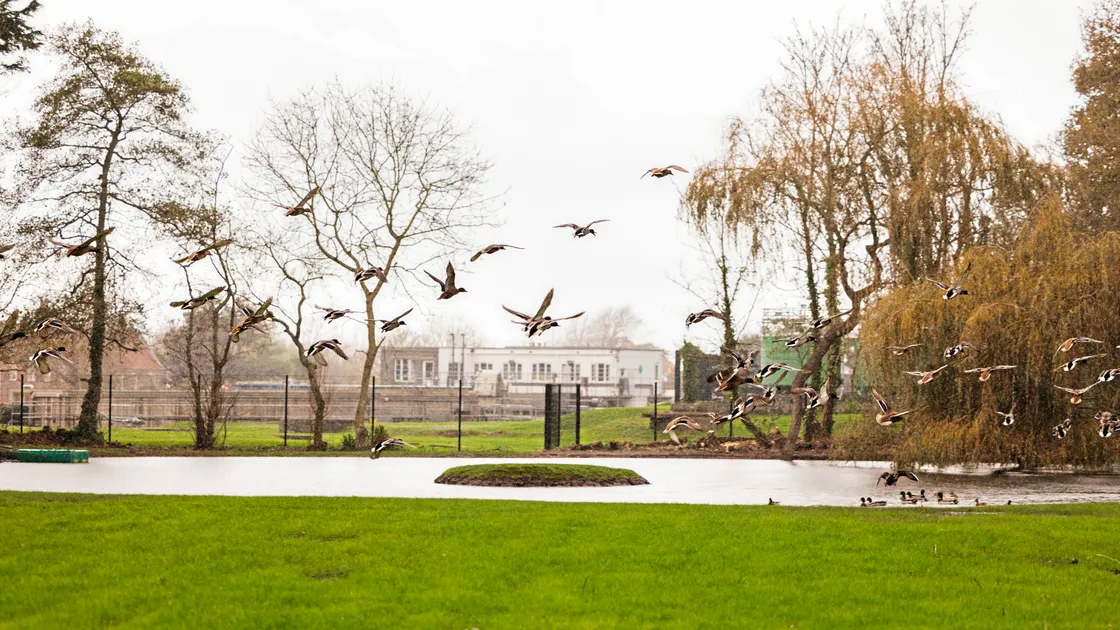 The gardens run to more than 19 acres and include woodland, grassland, streams and ponds, perfect for almost any wildlife in need of a home