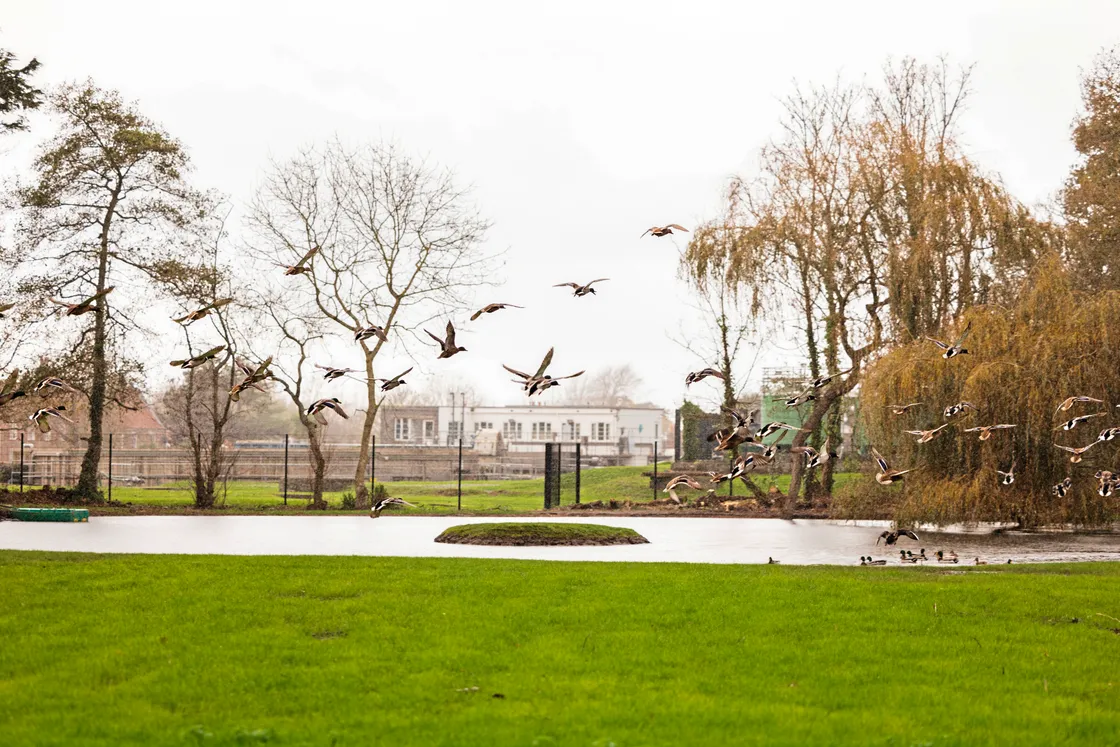 The gardens run to more than 19 acres and include woodland, grassland, streams and ponds, perfect for almost any wildlife in need of a home