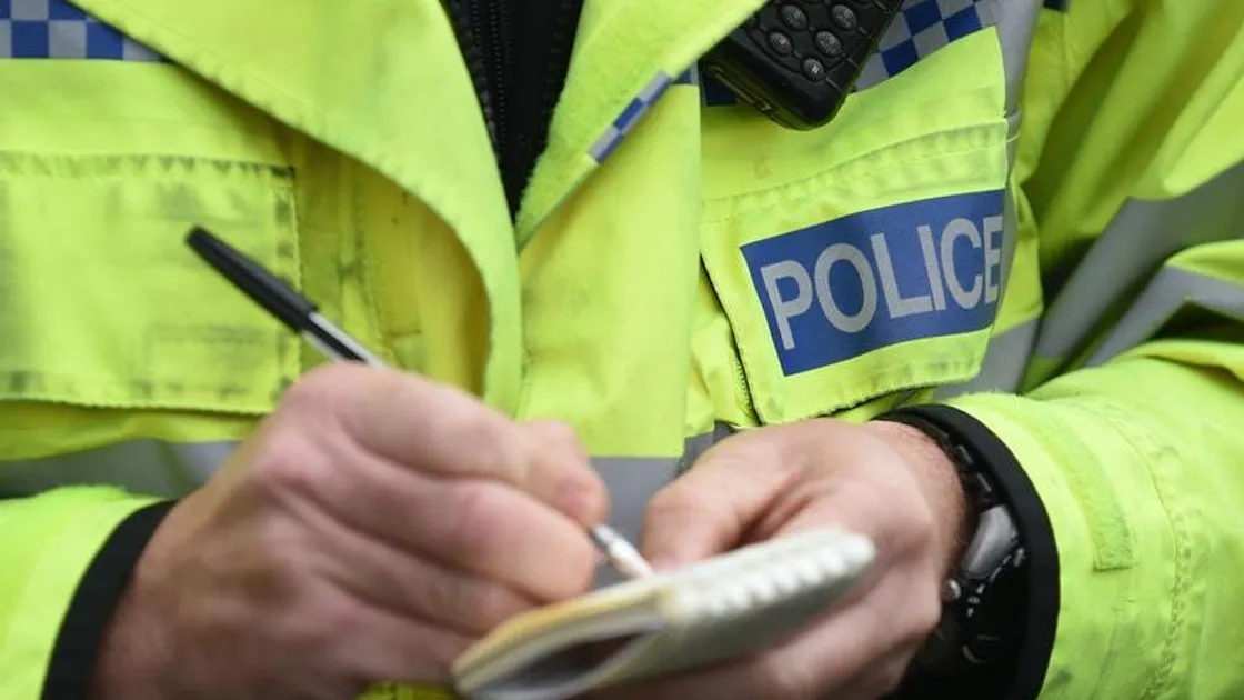 Police officer (28981841)
