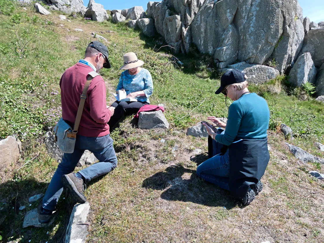 BioBlitz botanists identifying plants