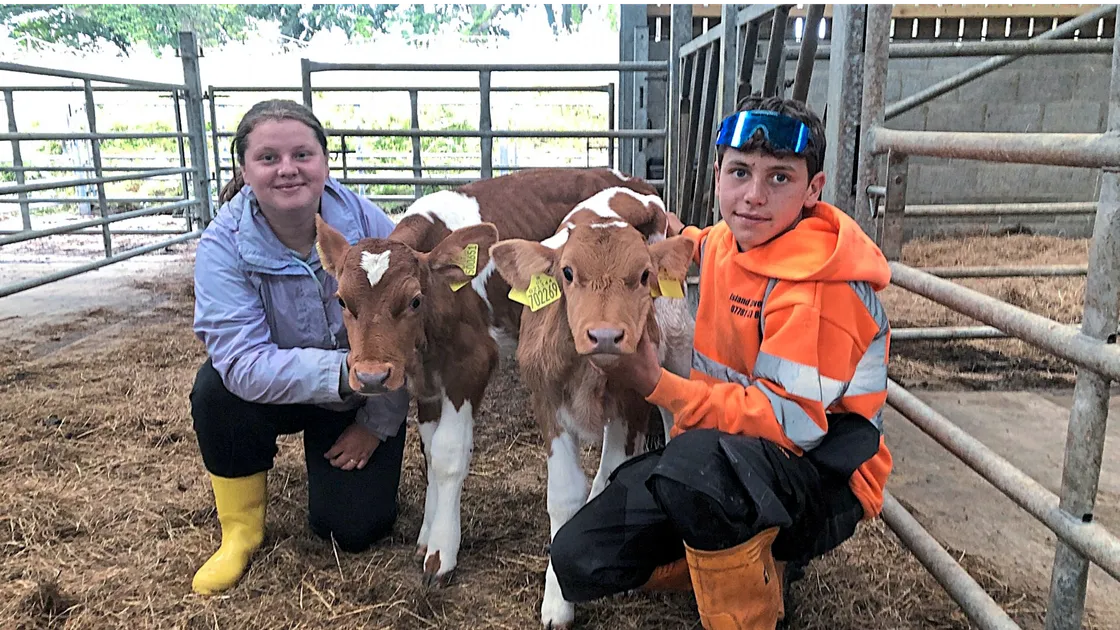 Cerys and Harry Knight, aged 16 and 15, hope to restart Sark’s dairy farm.