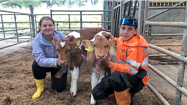Sark teenage siblings want to restart the island’s dairy