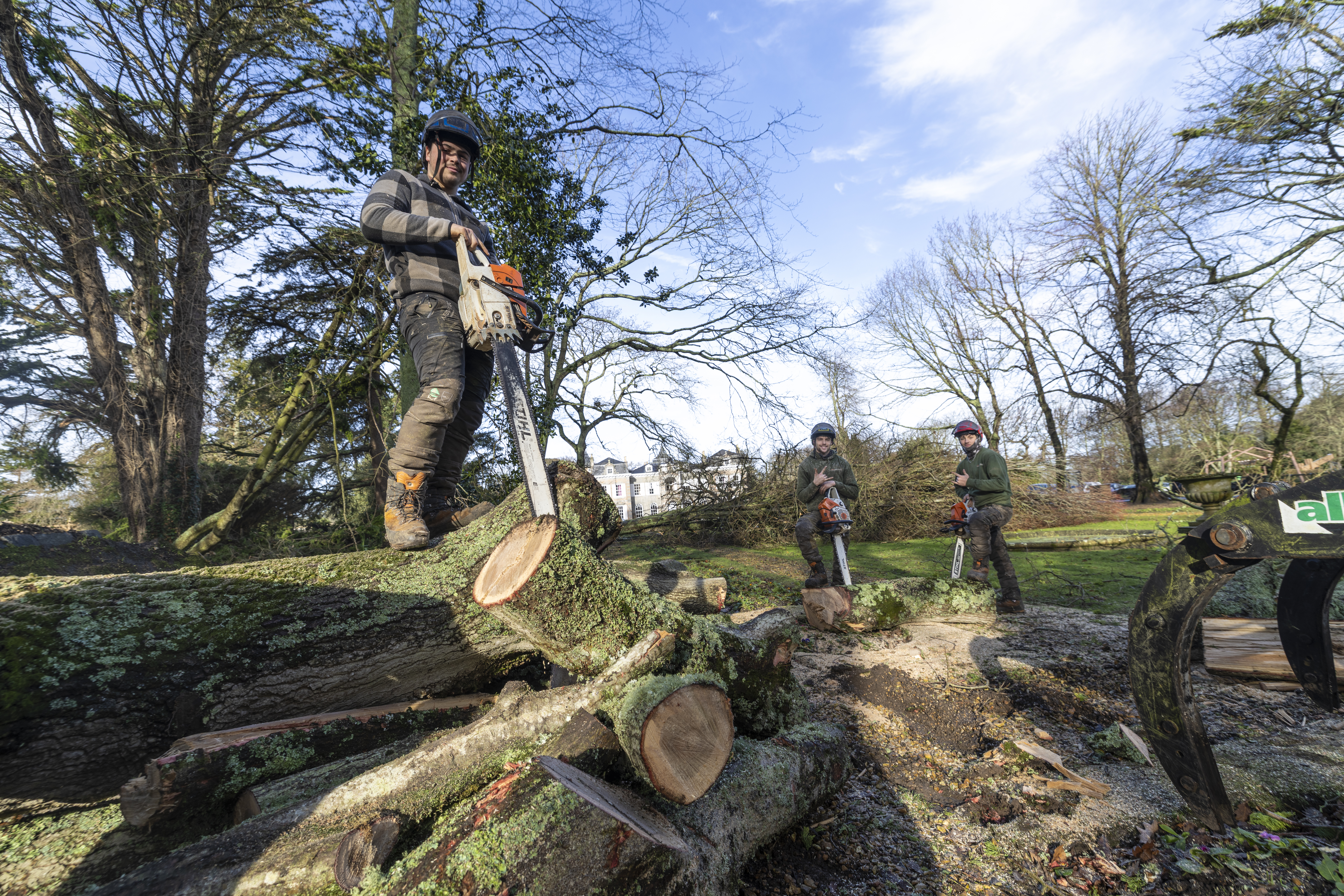 Clear-up at Saumarez Park to deal with toppled trees