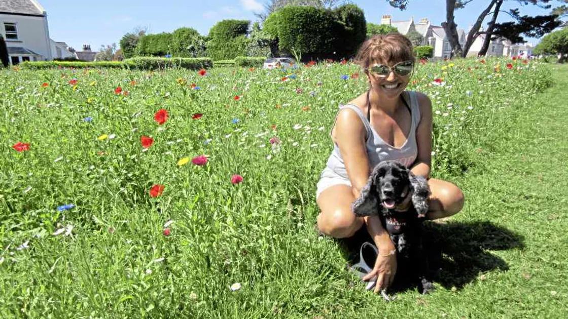 Fort Road's wild flowers still divide opinion