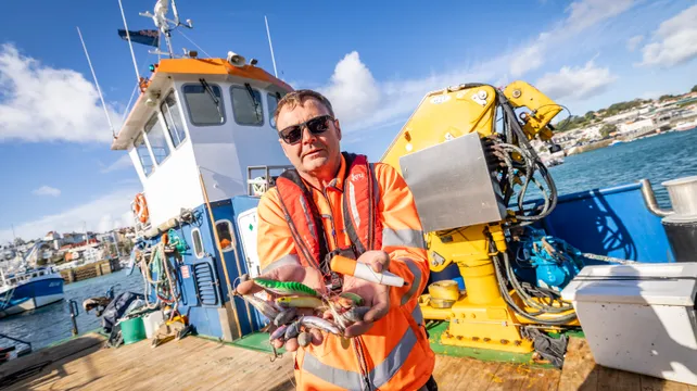 Angling restrictions considered after damage at the harbour