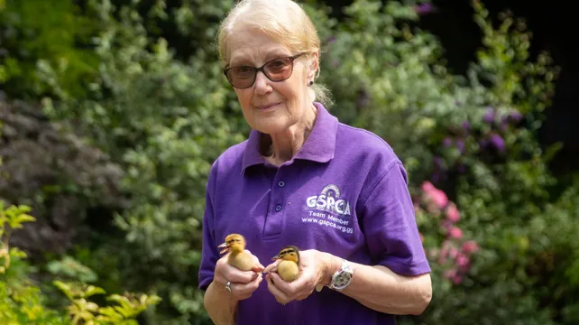 GSPCA volunteer is a finalist in national animal welfare awards