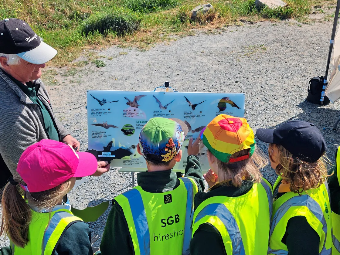School children learning about bats