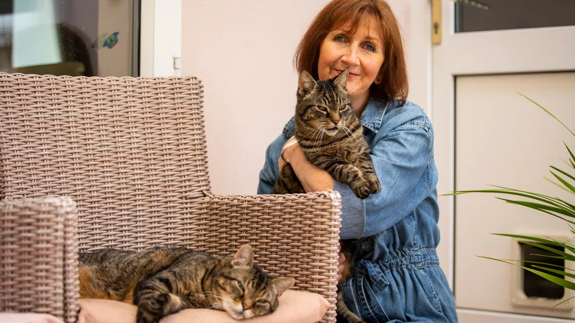 After being missing for three days, Linda Laine was delighted to be reunited with 14-year-old rescue cat Ronnie, whose twin brother, Reggie, wonders what all the fuss was about. (Picture by Luke Le Prevost, 31098814)