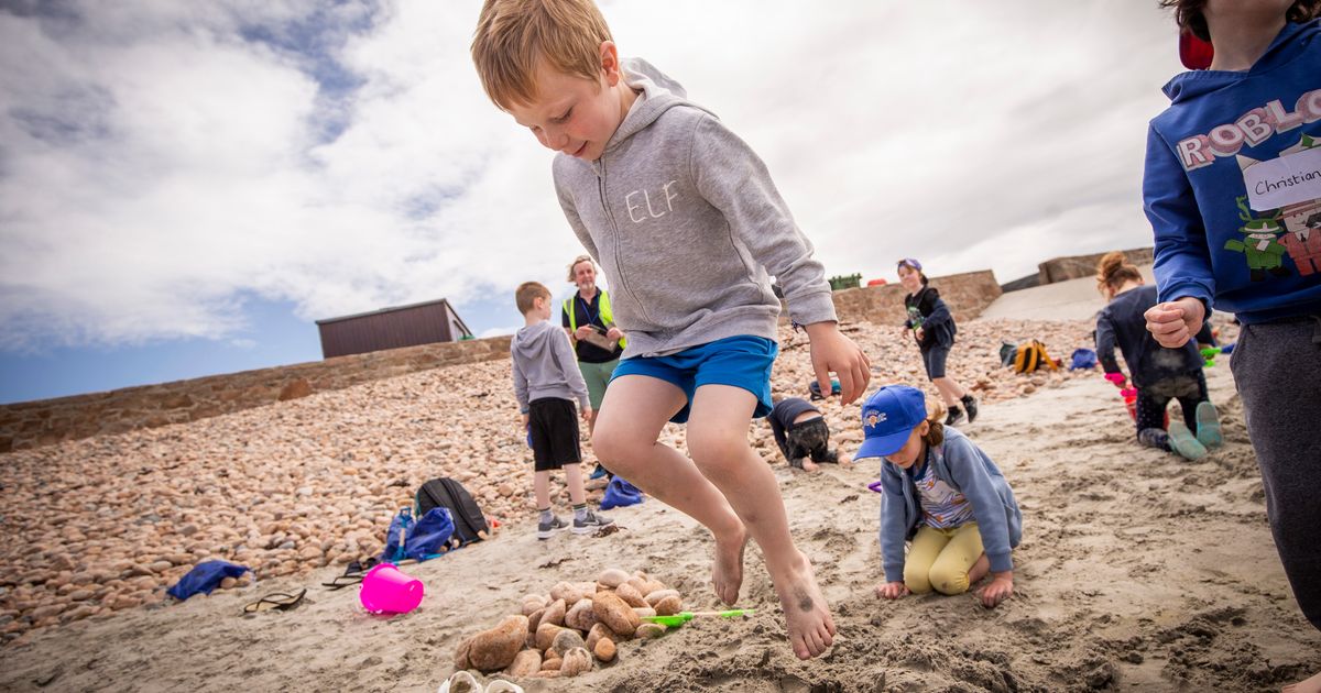 Le Rondin pupils enjoy Kids Day Out at Vazon
