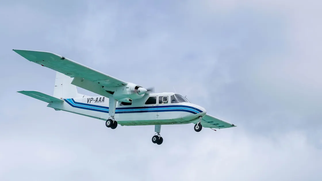 Project Fresson. (29453867)