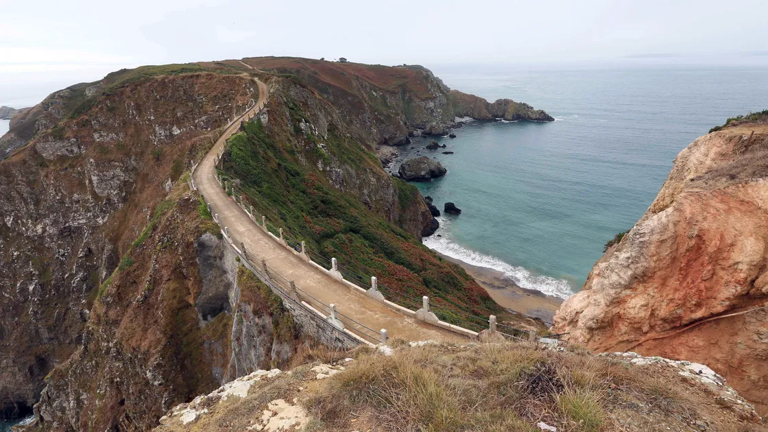 (Picture by Adrian Miller, 28963478)