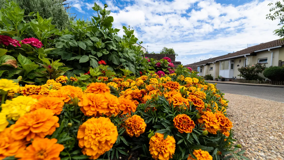 Now that this year’s Bailiwick in Bloom has ended, Floral Guernsey is inviting everyone to look around the island and appreciate what its volunteers have achieved.