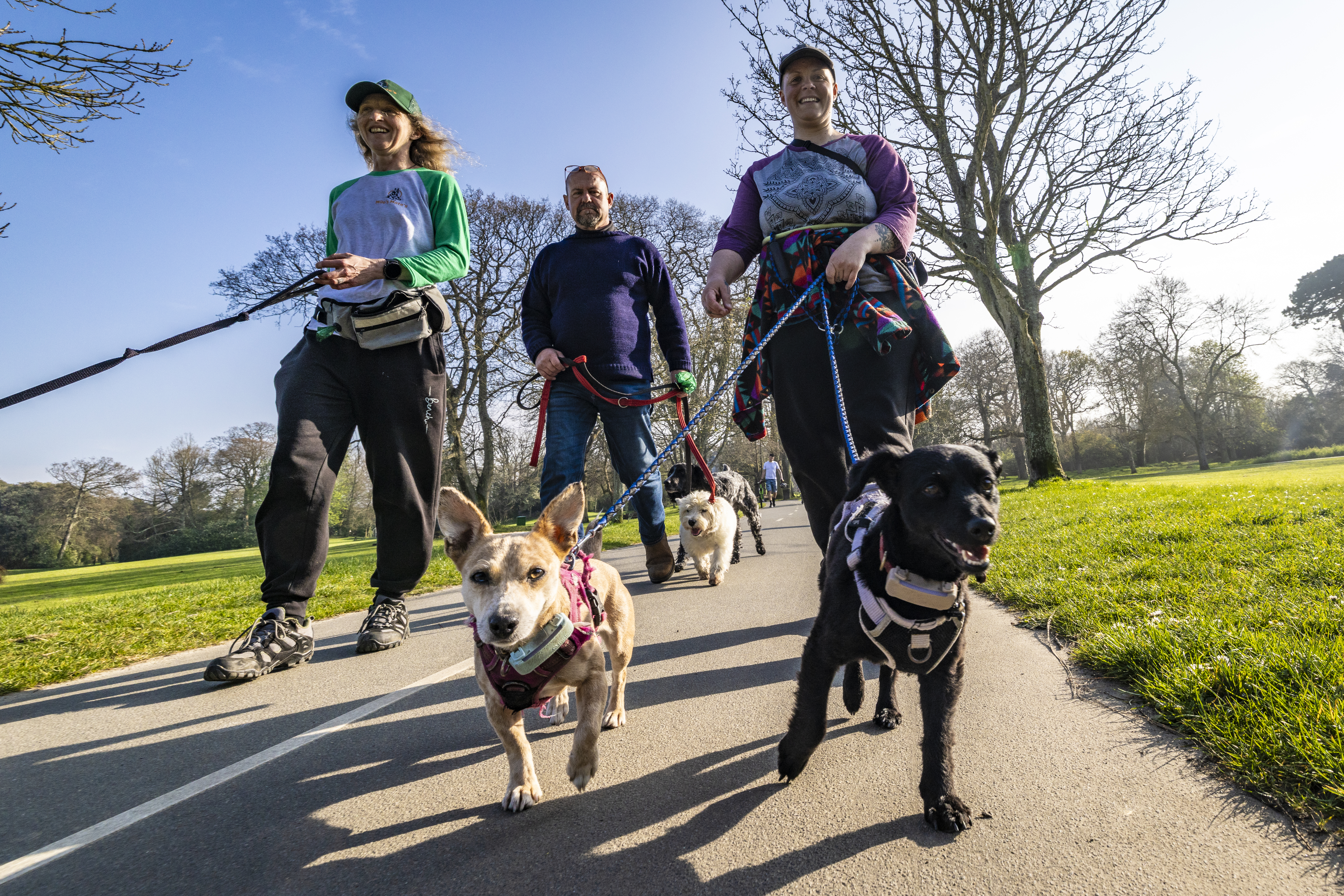 Dog walkers back move to scrap new licensing rules