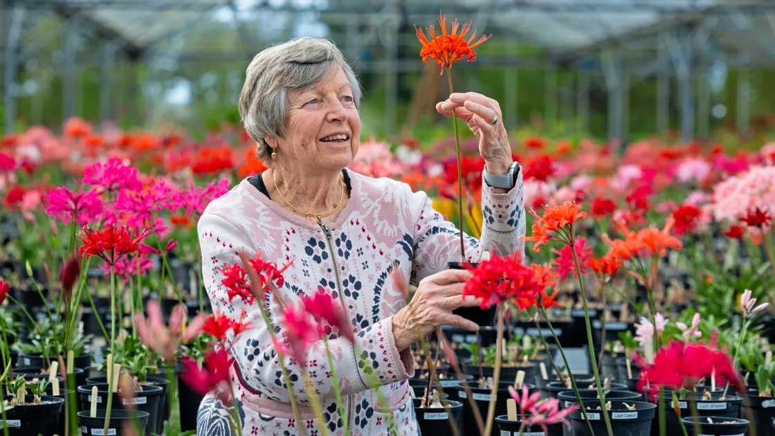 Committee member Jill Bishop said it has been a good year for the plants