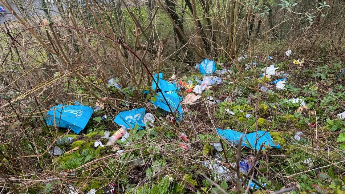 Supermarket rubbish was spread across a patch of the wooded area on the cliff face below Belvedere field car park.