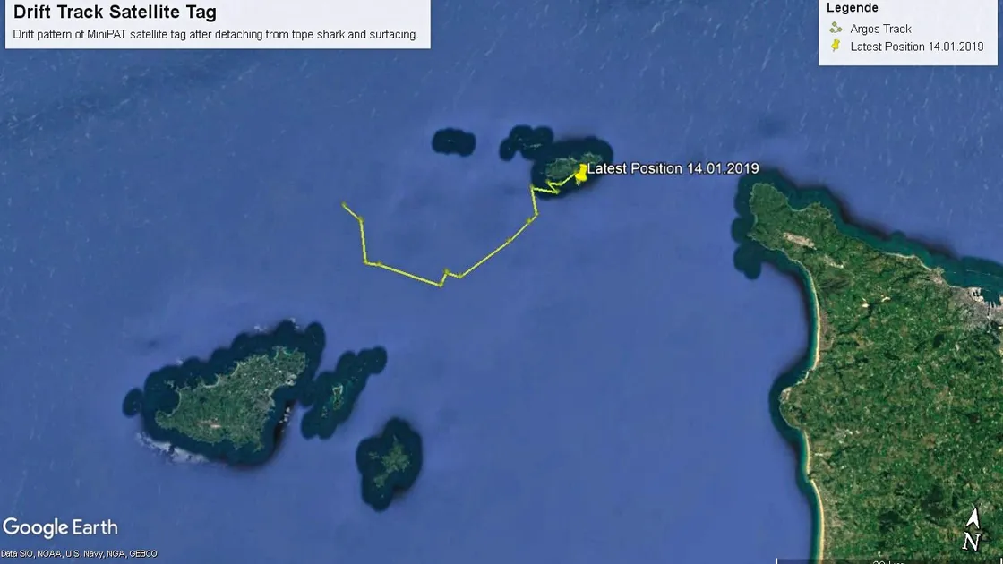 The tag has been recorded between here and Alderney, but there have been no recent transmissions of data from it.