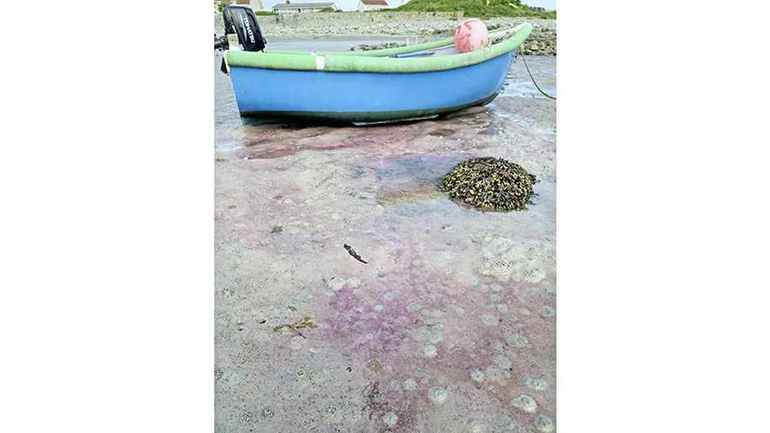 Richmond pink substance 'definitely not pollution'