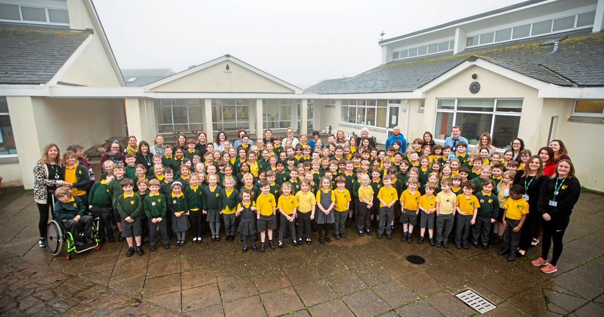 Forest Primary good in all categories in Ofsted report