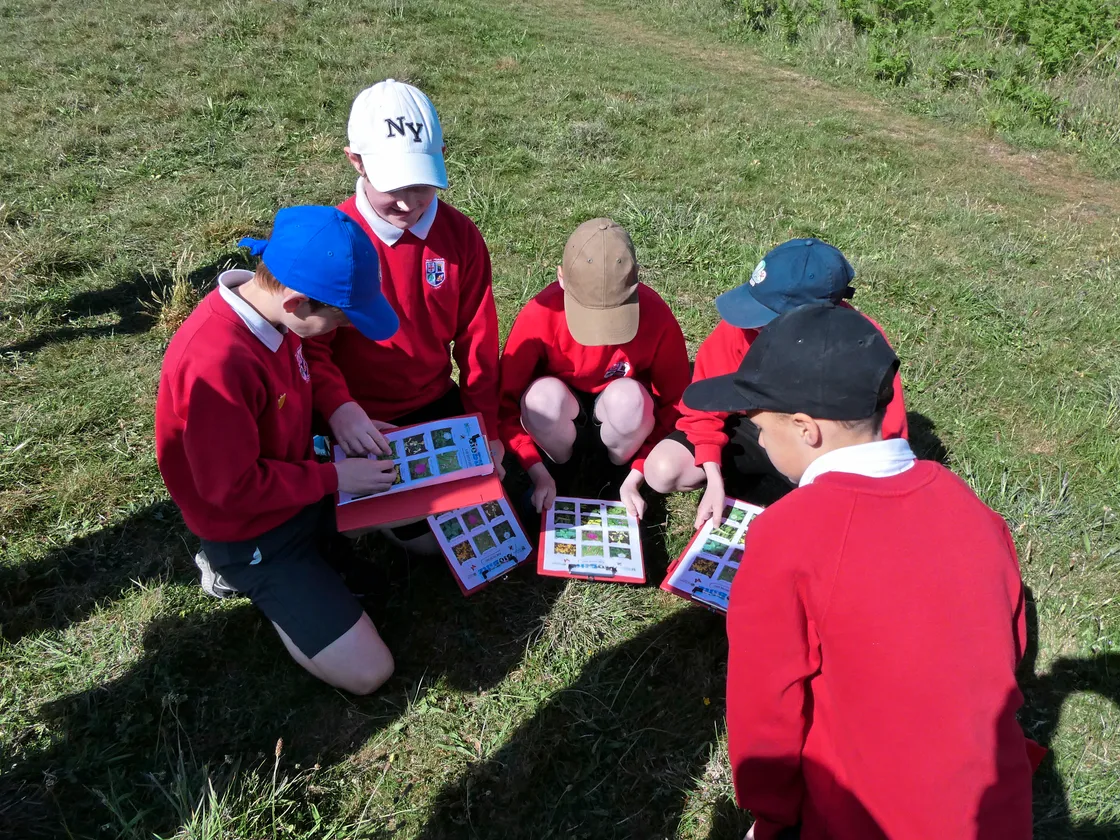 School children plant spotting