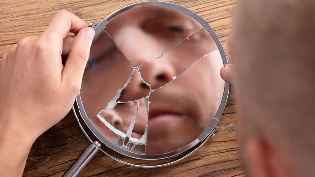 Horace Camp: A mirror image of the Assembly?