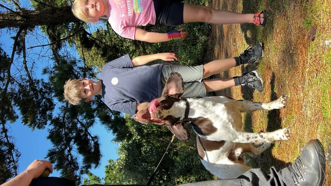 Guernsey Police and two of their dogs were out at Le Guet yesterday, reminding dog owners of the importance of keeping their animals under control. Pictured is spaniel Ozzy with, from left to right, Christopher Marsden, 9, Hattee Lord, 7, and Matthew Marsden, 11. (32410439)