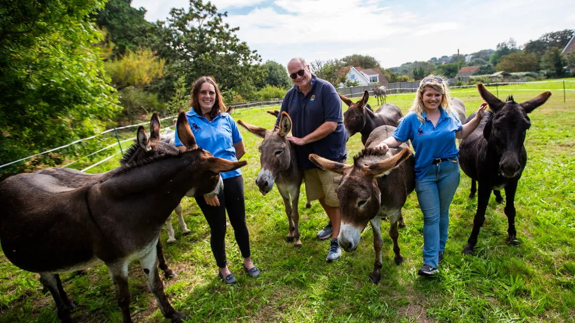 Donkey Derby is back for first time since pandemic