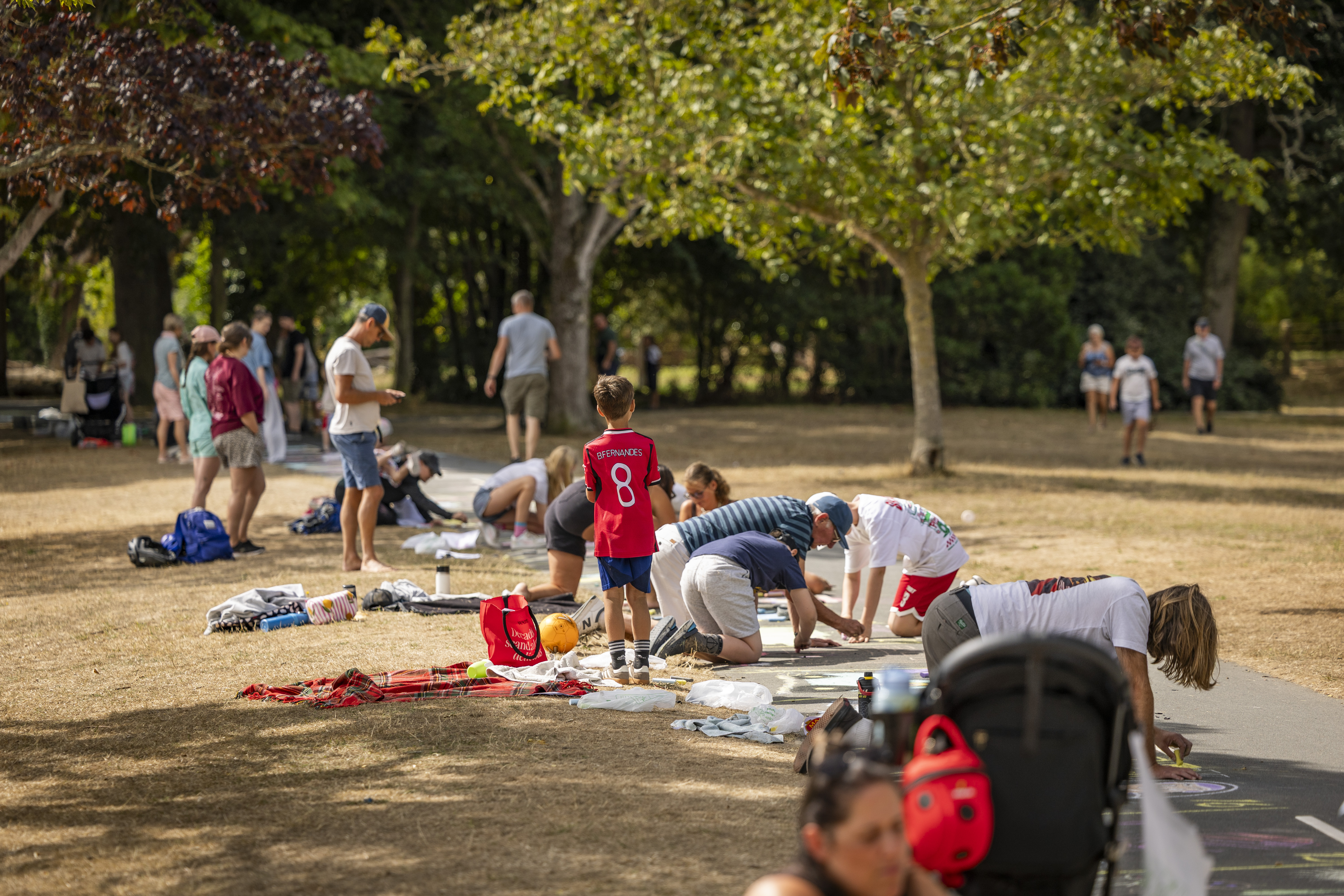 Chalk creations come alive at Saumarez Park