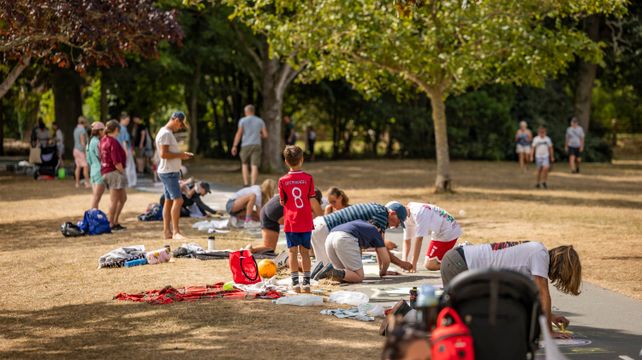Chalk creations come alive at Saumarez Park