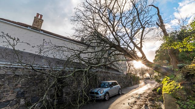 Even insurers experience storm damage