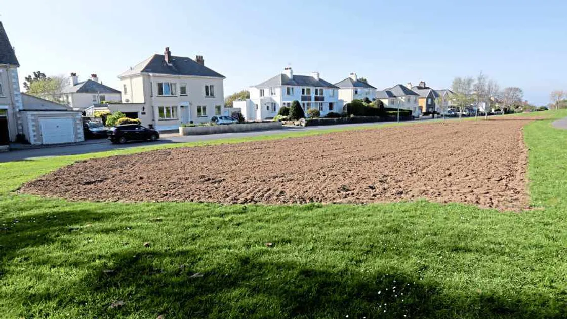 Plans for a wildflower meadow labelled 'absolutely disgraceful'